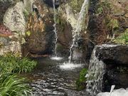 ヌケてるライダーさんの米子不動尊 本坊米子瀧山不動寺の投稿写真1