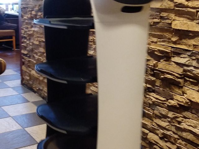 ネコロボット_ガスト 静岡下川原店