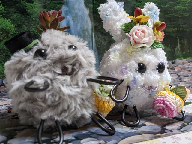 良くできました_ハズキモスペット