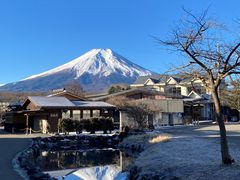 忍野八海の写真1