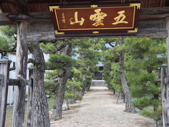 庄原市 龍興寺_龍興寺