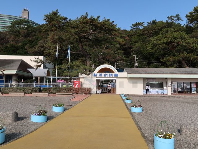 桂浜水族館