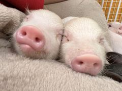 ディッパーズ アドベンチャー クラブの写真1