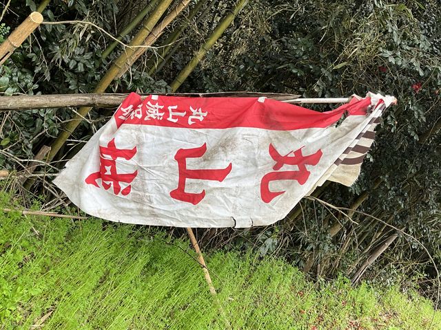Shotaさんの丸山城祉の投稿写真1