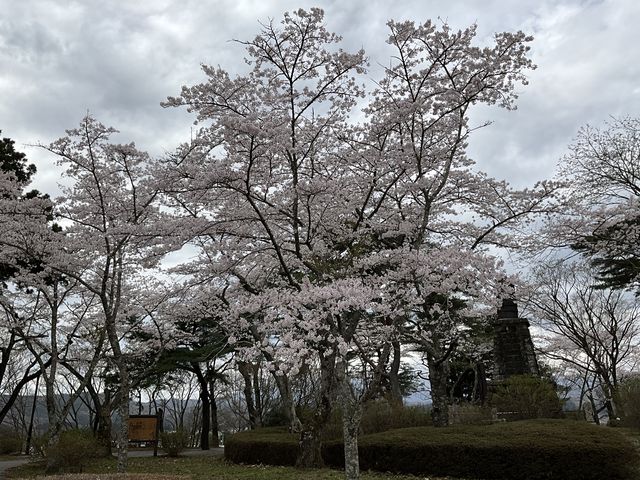 Shotaさんの城山公園の投稿写真1