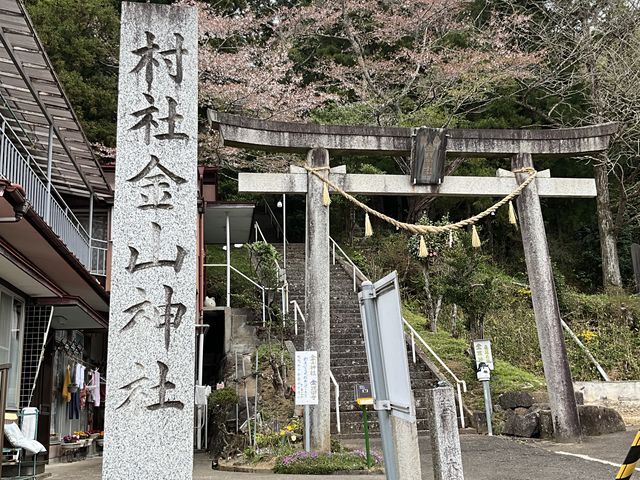 Shotaさんの金山城址の投稿写真1