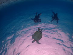 タクローさんの八重干瀬マリンハート宮古島への投稿写真1