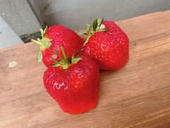 奏の森 なごみ villageの写真2