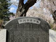 Shotaさんの水沢公園の投稿写真1