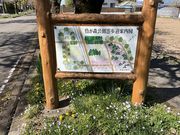Shotaさんの烏が森公園の投稿写真1