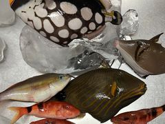 まきさんの海あしび(海うさぎ丸)への投稿写真1