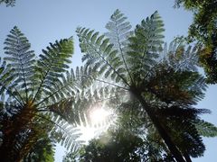 まっつんさんの沖縄自然体験やんばるリバートレッキングへの投稿写真2