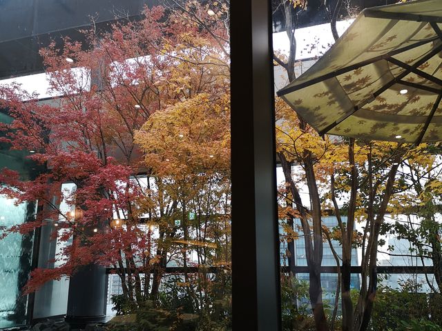 紅葉のときも素敵_ダイニングカフェ センカ アミュプラザくまもと店