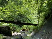 シンヤさんの鋸山・栖吉登山口の投稿写真2