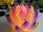 まささんのhanaasobi kaleidoの投稿写真1