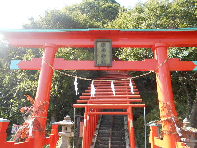 トシローさんの稲荷山公園の投稿写真1