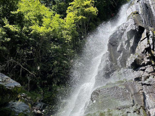 大倉滝_森とひとと木