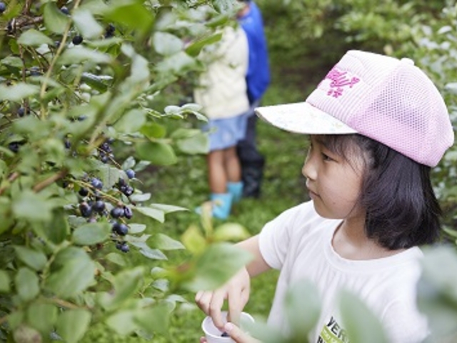 どれが美味しそうかな。_まぜ川上健康農園
