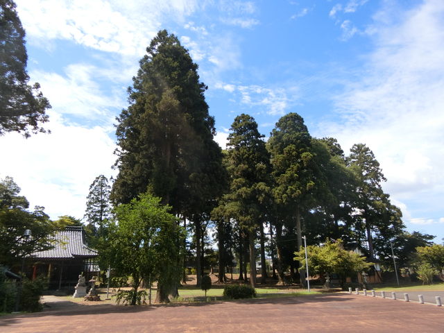 やんまあさんの味真野神社の投稿写真1