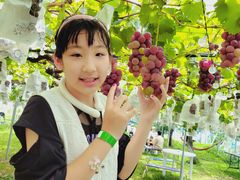信ちゃん果樹園の写真2