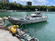 楊さんのたえ丸の投稿写真4