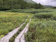 そーちゃんさんの栂池高原の投稿写真2