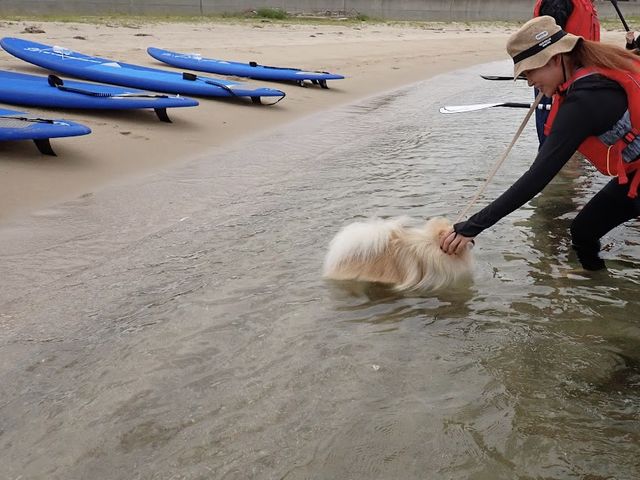 まずは海に慣れる練習(犬ではなく人の練習)_イザナギSUP