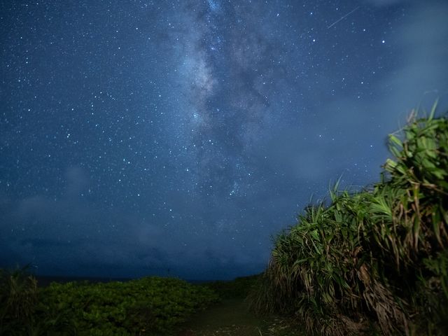 満天の星空_珊瑚ツアー