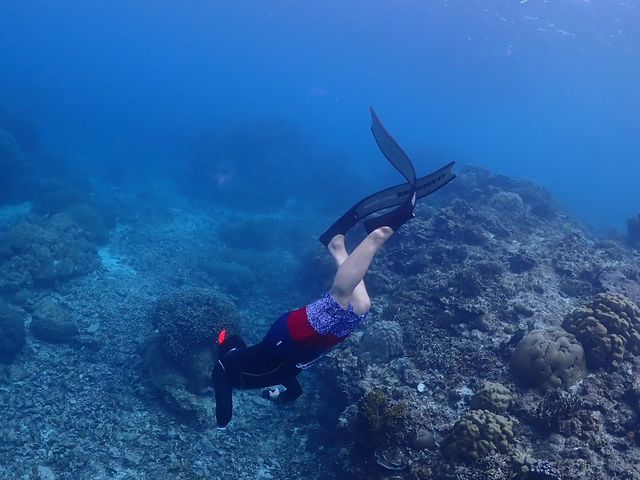 スキンダイビング中_Saltwater social club