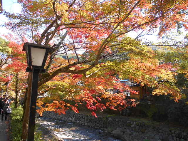 桂橋