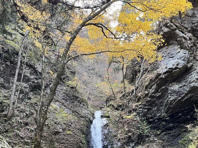 11月下旬でも一部、紅葉が残っていたので、見頃に行けば、辺り一面、鮮やかになると思う_浪板不動滝