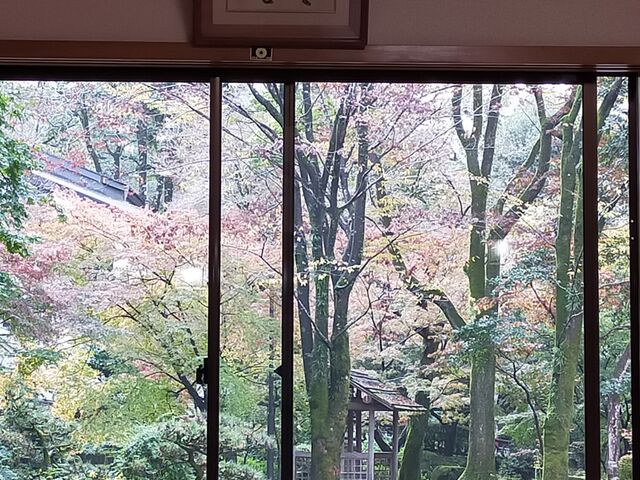 窓からの景色_植木屋