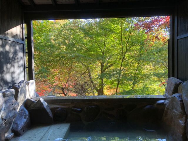 春は新緑 秋には紅葉とっても景色の良い温泉です。_はげの湯温泉 くぬぎ湯