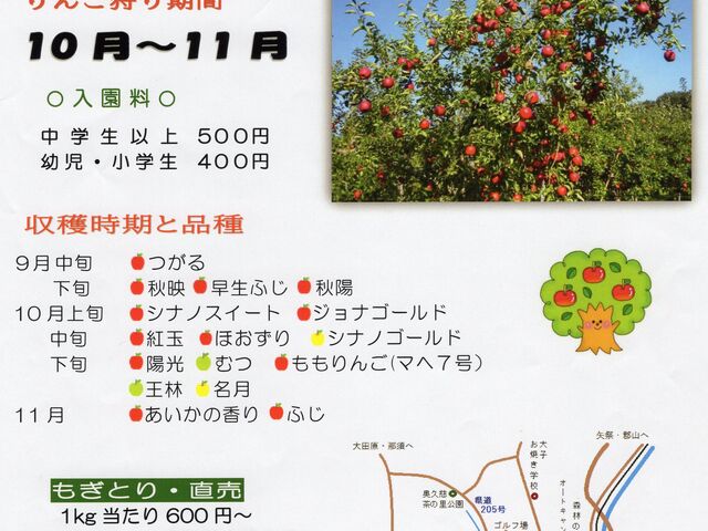 木澤リンゴ園さんのパンフレット_木沢りんご園
