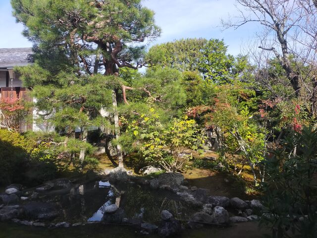 弘源寺奥庭_弘源寺