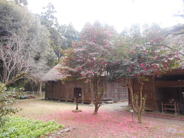 民家園