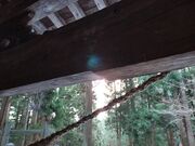 液体脳味噌さんの月山神社の投稿写真4