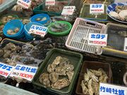 nekonoshippoさんの竹崎海産の投稿写真1