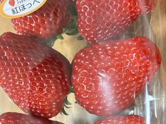 maiさんの陽だまり農園への投稿写真1
