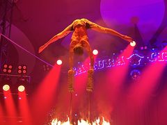 ななおんさんのさくらサーカス大阪堺公演への投稿写真1