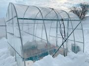 みるこっちゃんさんの匠・TAKUMI工房の投稿写真3