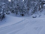 ユウさんさんの瑞穂ハイランドの投稿写真3