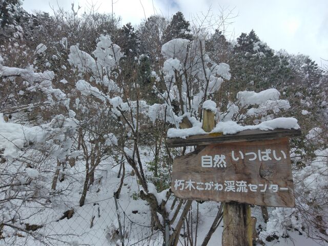 入口_朽木こがわ渓流センター