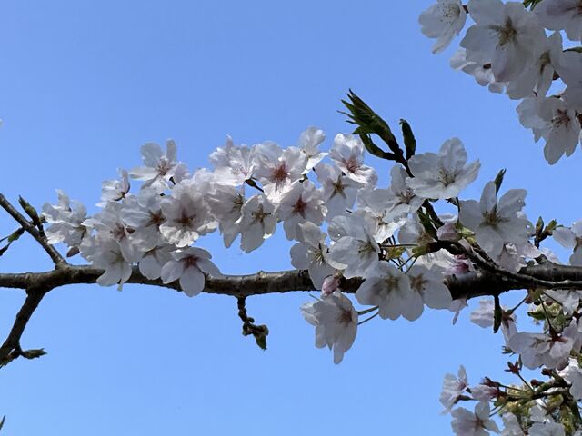 滝頭公園