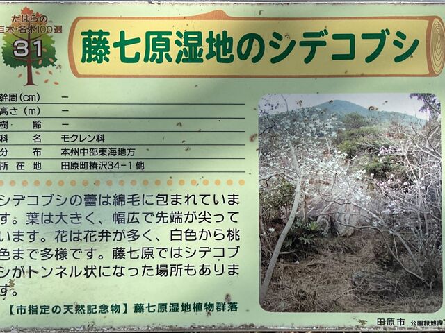 Shotaさんの藤七原湿地植物群落の投稿写真1