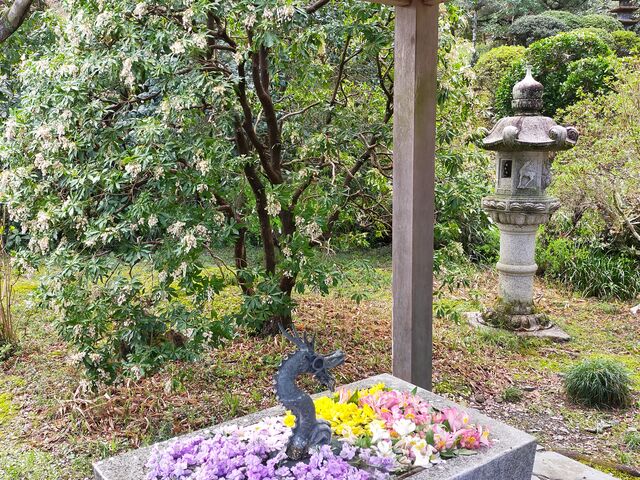 あきぼうさんのカタクリとニリンソウの里の投稿写真5