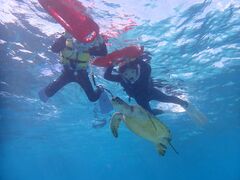 リロちゃんさんのマリンヴィレッジ奄美への投稿写真1