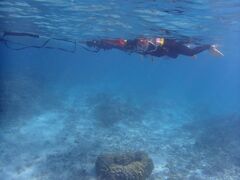 リロちゃんさんのマリンヴィレッジ奄美への投稿写真3