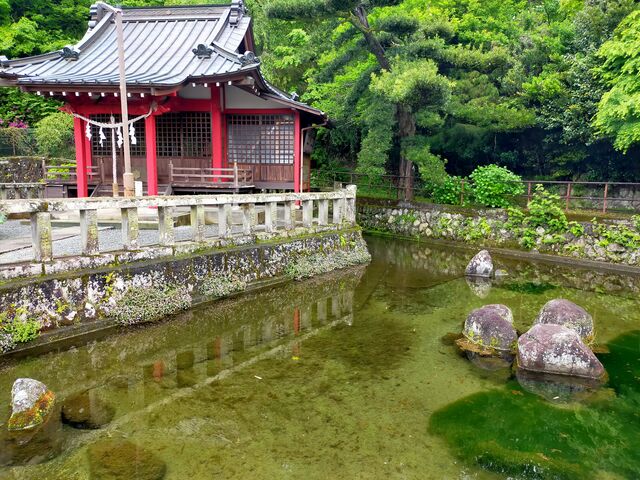 池
_清左衛門地獄池