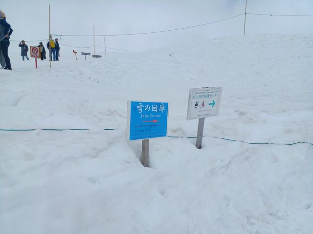 室堂ターミナルの裏側に雪の回廊があります。 雪の大谷 往復 に自信のない方に、とてもおすすめです。_室堂ターミナル